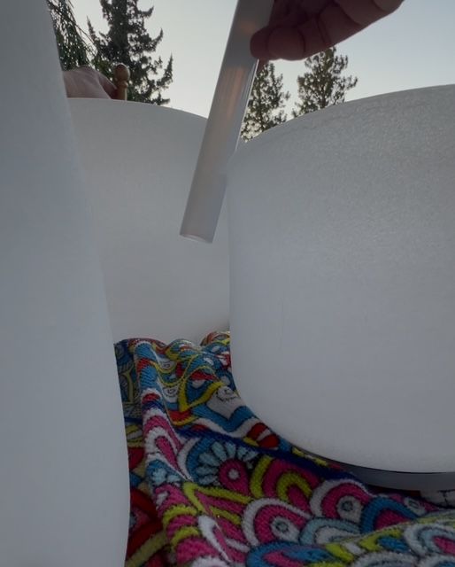 frosted crystal bowl